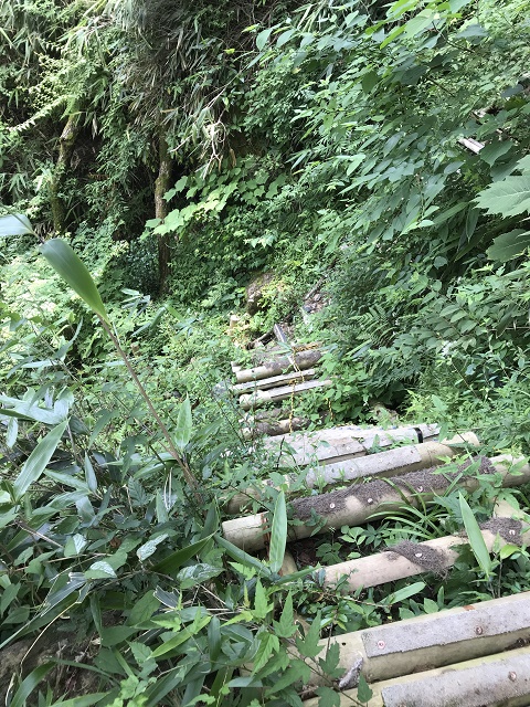 竹の階段
