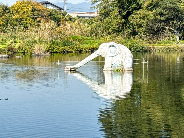 上江津湖のゾウさんすべり台