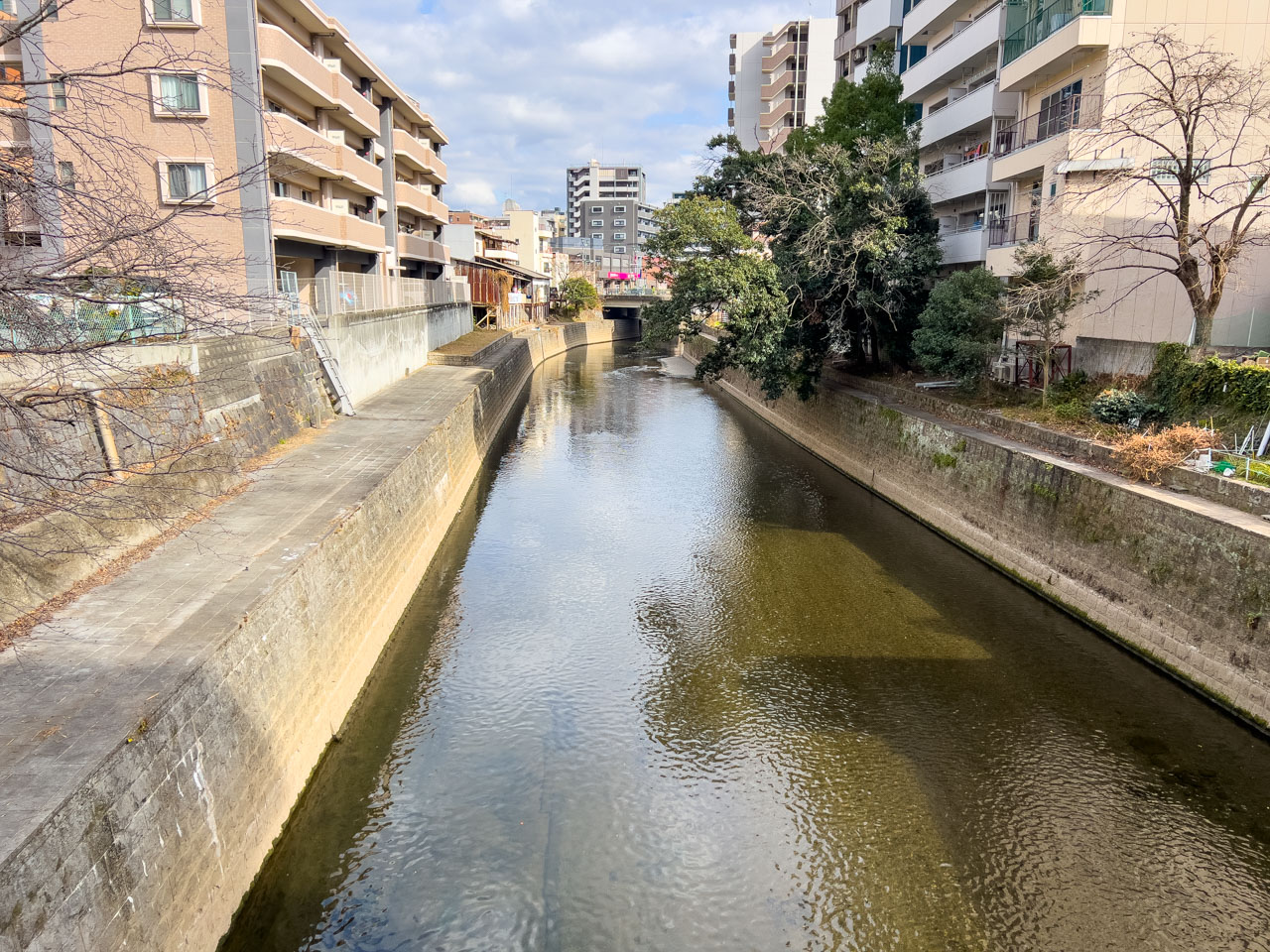 小沢橋の下を流れる坪井川