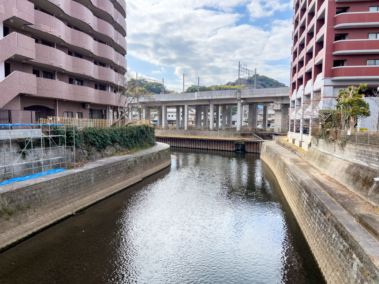 小沢橋の下を流れる坪井川