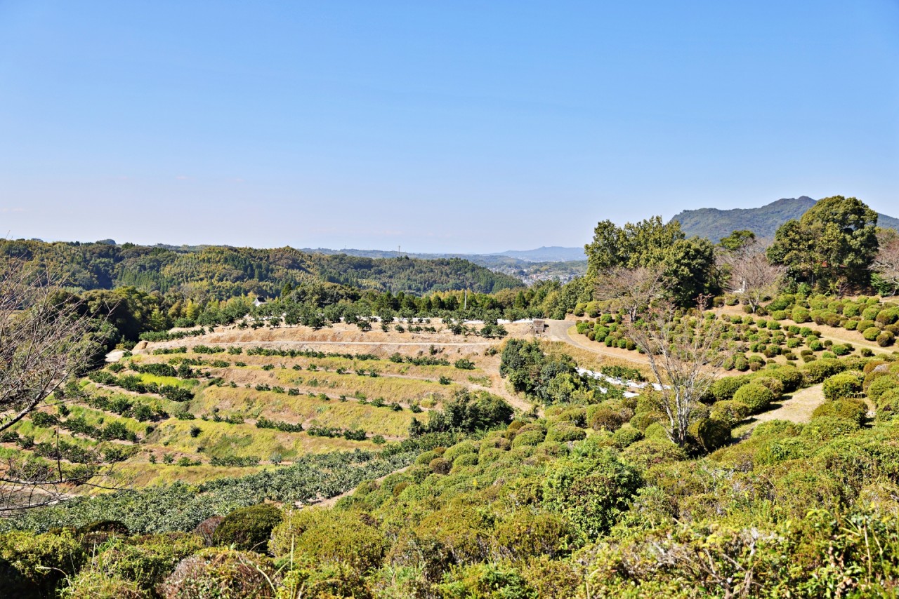 田原坂公園